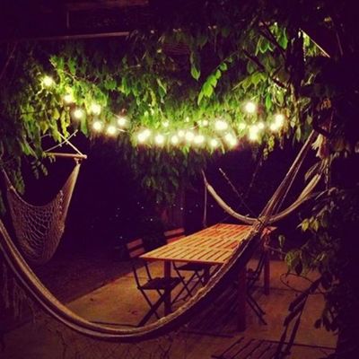 100V-220V Προσαρμοσμένο μέγεθος Αστροειδής LED γιρλάντα για εξωτερικό κήπο