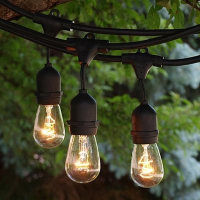 Διακόσμηση Τεχνητό φως φυτών με υλικό PVC 30000 ώρες διάρκεια ζωής